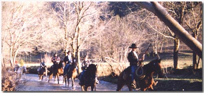 Horseback Riding in the creek after an Overnight Ride.